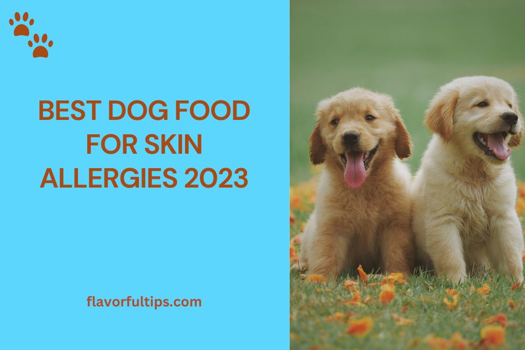 Best Dog Food for Skin Allergies 2023